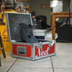 An open gig case with the word 'Noel' on sits open in the foreground The Barn Café in the background.