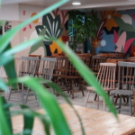 Wooden chairs are placed in rows ready for the gig, with a colourful mural of flowers and shapes on the wall and a plant out of focus in the foreground of the photo.